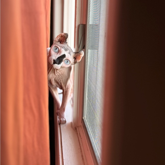 Meet your Posher, Amy - Picture 6 of 16